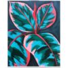 'Ruby Rubber Plant' - paint and sip painting by Cork & Chroma